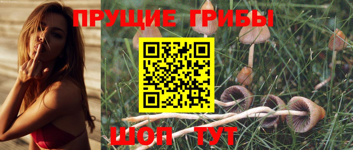 Соль-Илецк  Галлюциногенные грибы Cubensis  Псилоцибиновые грибы мухоморы  Вход с VPN 